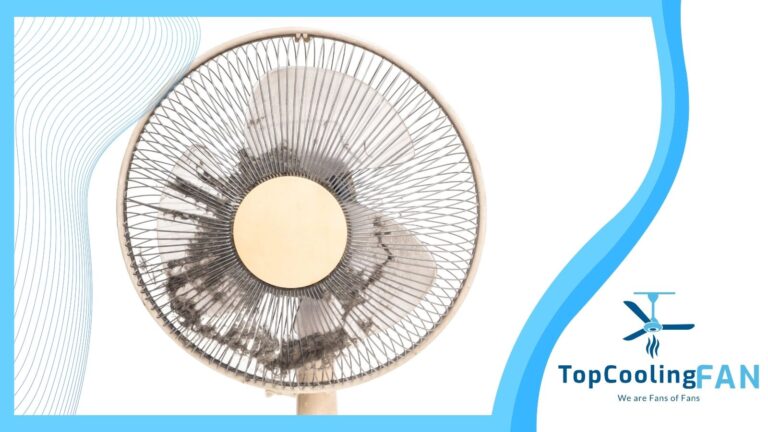 How to Clean a Fan Without Taking It Apart?