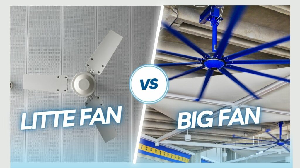 Little Fan Vs Big Fan