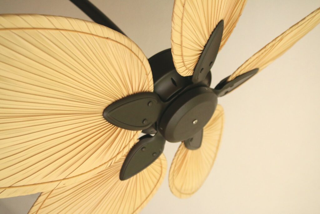 A ceiling fan with a palm leaf on it.