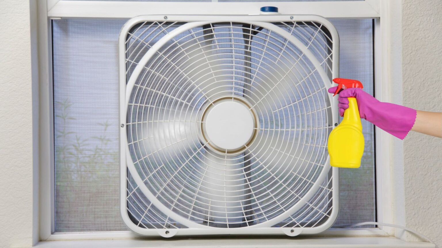 How to Clean a LASKO Fan Simple Steps for Fresh Air