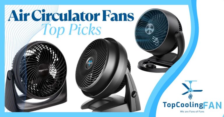 Best Air Circulator Fan to Blow Your Socks Off (Literally)