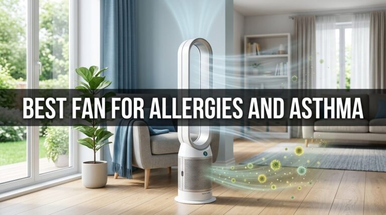 Best Fan for Allergies and Asthma: Breathe Easy Without Blowing Your Nose Off