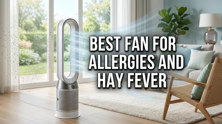 Best Fan for Allergies and Hay Fever: Blow Your Sneeze Troubles Away