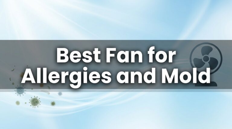 Best Fan for Allergies and Mold: Blow Away Sneezes, Not Dust Bunnies