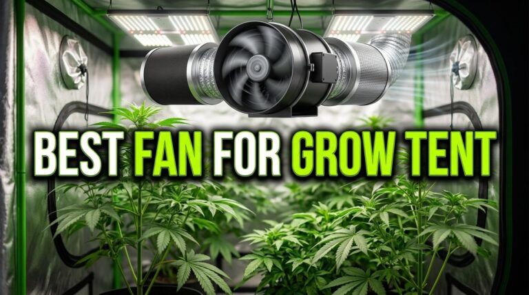 Best Fan for Grow Tent: Because Your Plants Deserve a Breeze, Too