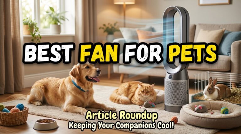 Best Fan for Pets: Keeping Your Furry Friends Cooler Than You