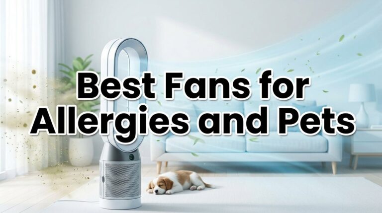 Best Fans for Allergies and Pets: Finally, a Breeze Your Nose and Fluffy Friend Will Love