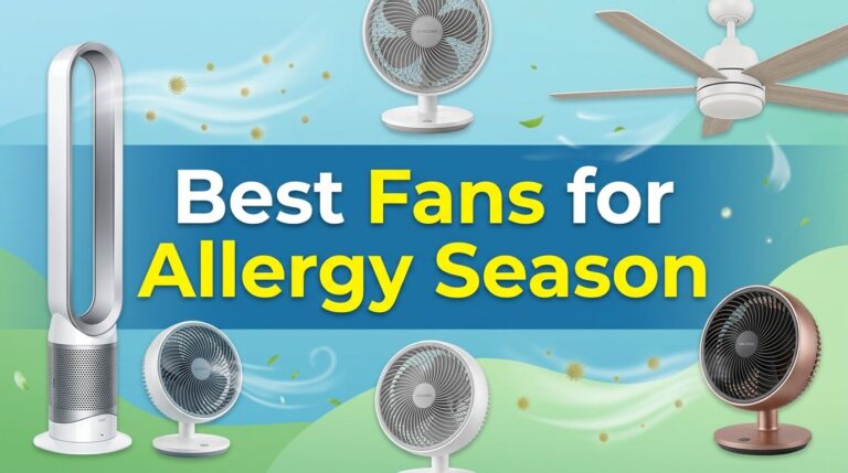 Best Fans for Allergy Season That Blow Your Sneezes Away